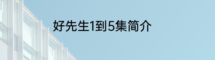 好先生1到5集简介
