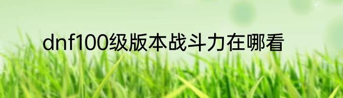 dnf100级版本战斗力在哪看