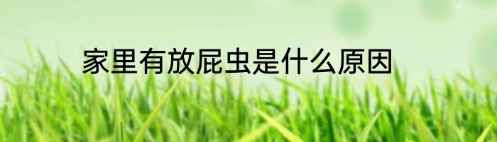 家里有放屁虫是什么原因