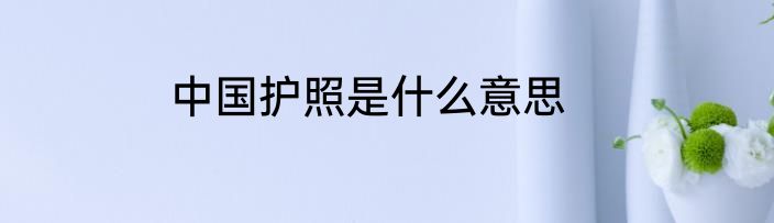 中国护照是什么意思