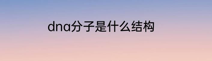 dna分子是什么结构