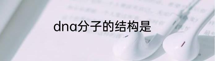 dna分子的结构是