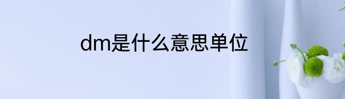 dm是什么意思单位