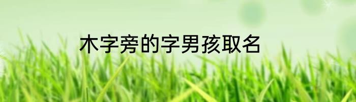 木字旁的字男孩取名