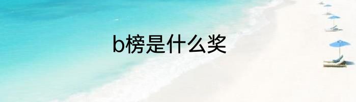 b榜是什么奖