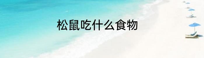 松鼠吃什么食物