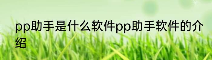 pp助手是什么软件pp助手软件的介绍