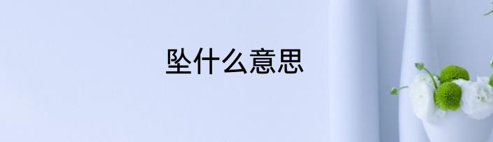 坠什么意思