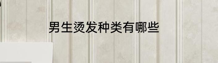 男生烫发种类有哪些