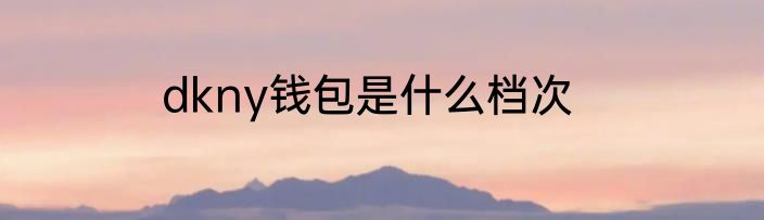 dkny钱包是什么档次