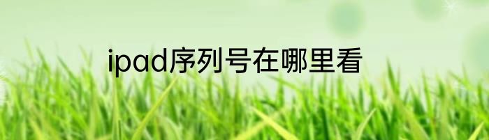 ipad序列号在哪里看