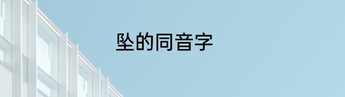 坠的同音字