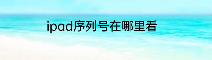 ipad序列号在哪里看