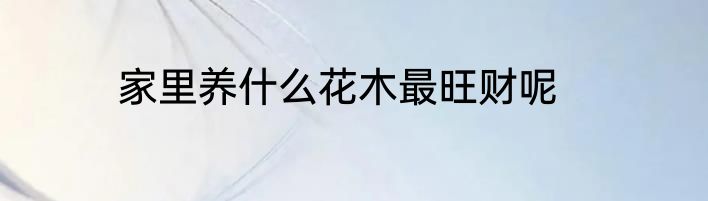 家里养什么花木最旺财呢