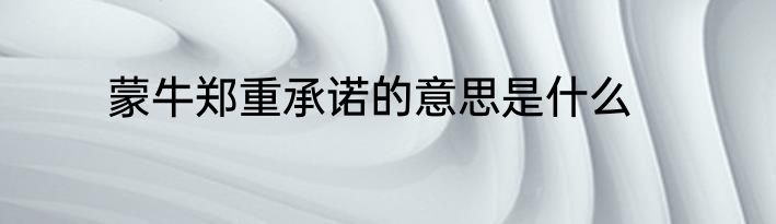 蒙牛郑重承诺的意思是什么