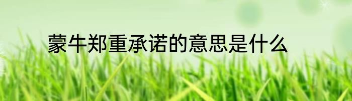 蒙牛郑重承诺的意思是什么
