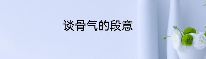 谈骨气的段意
