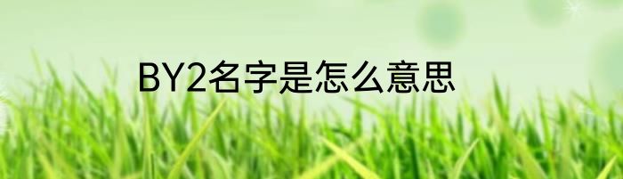 BY2名字是怎么意思