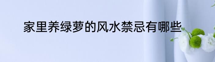 家里养绿萝的风水禁忌有哪些