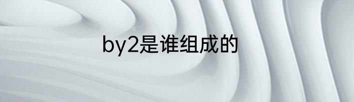 by2是谁组成的