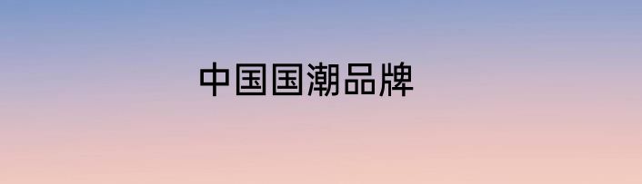 中国国潮品牌