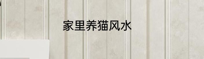 家里养猫风水