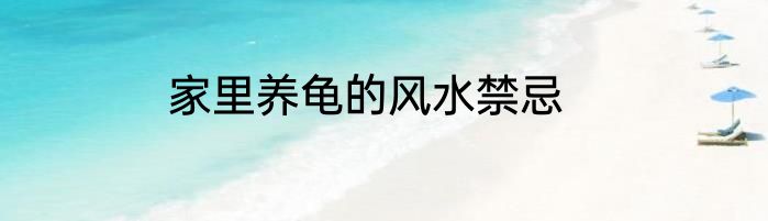 家里养龟的风水禁忌
