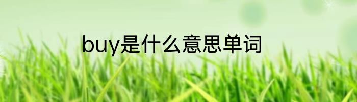 buy是什么意思单词