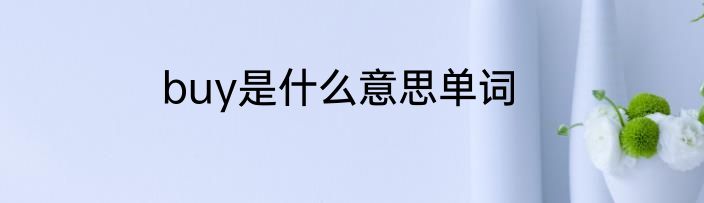 buy是什么意思单词