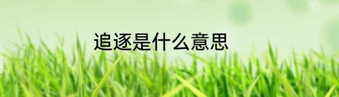 追逐是什么意思
