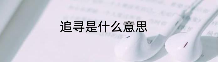 追寻是什么意思
