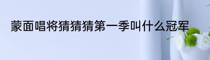 蒙面唱将猜猜猜第一季叫什么冠军