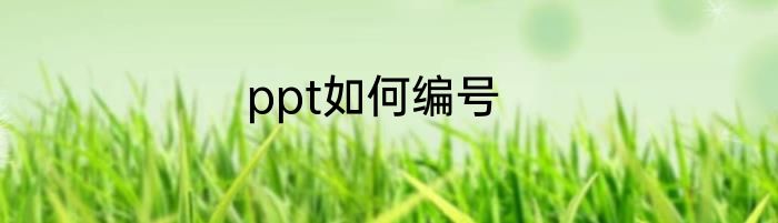 ppt如何编号
