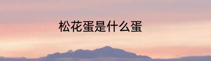 松花蛋是什么蛋