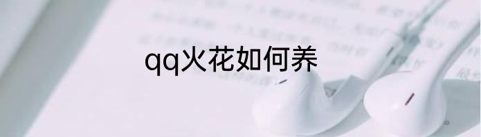 qq火花如何养