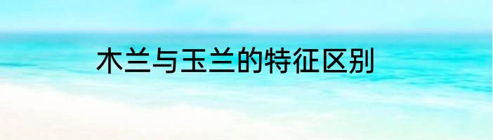 木兰与玉兰的特征区别