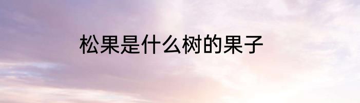 松果是什么树的果子