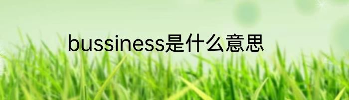 bussiness是什么意思