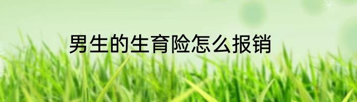 男生的生育险怎么报销