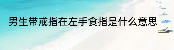 男生带戒指在左手食指是什么意思