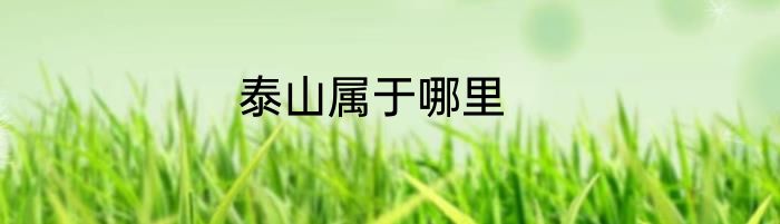 泰山属于哪里
