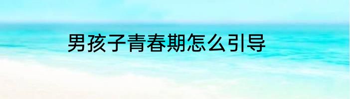 男孩子青春期怎么引导