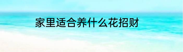 家里适合养什么花招财