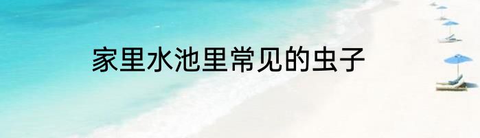 家里水池里常见的虫子