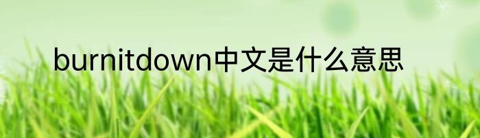 burnitdown中文是什么意思