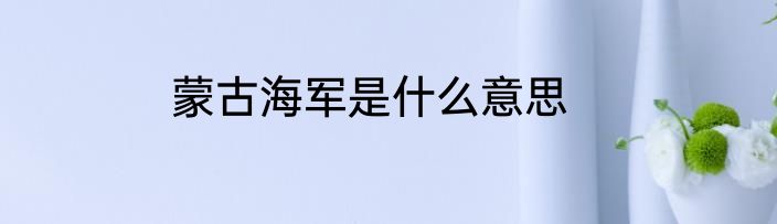 蒙古海军是什么意思