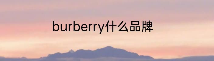burberry什么品牌