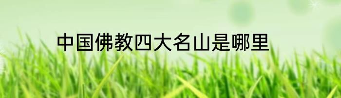 中国佛教四大名山是哪里