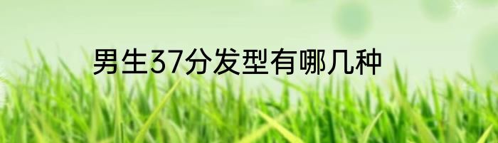 男生37分发型有哪几种