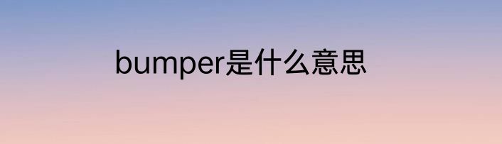 bumper是什么意思